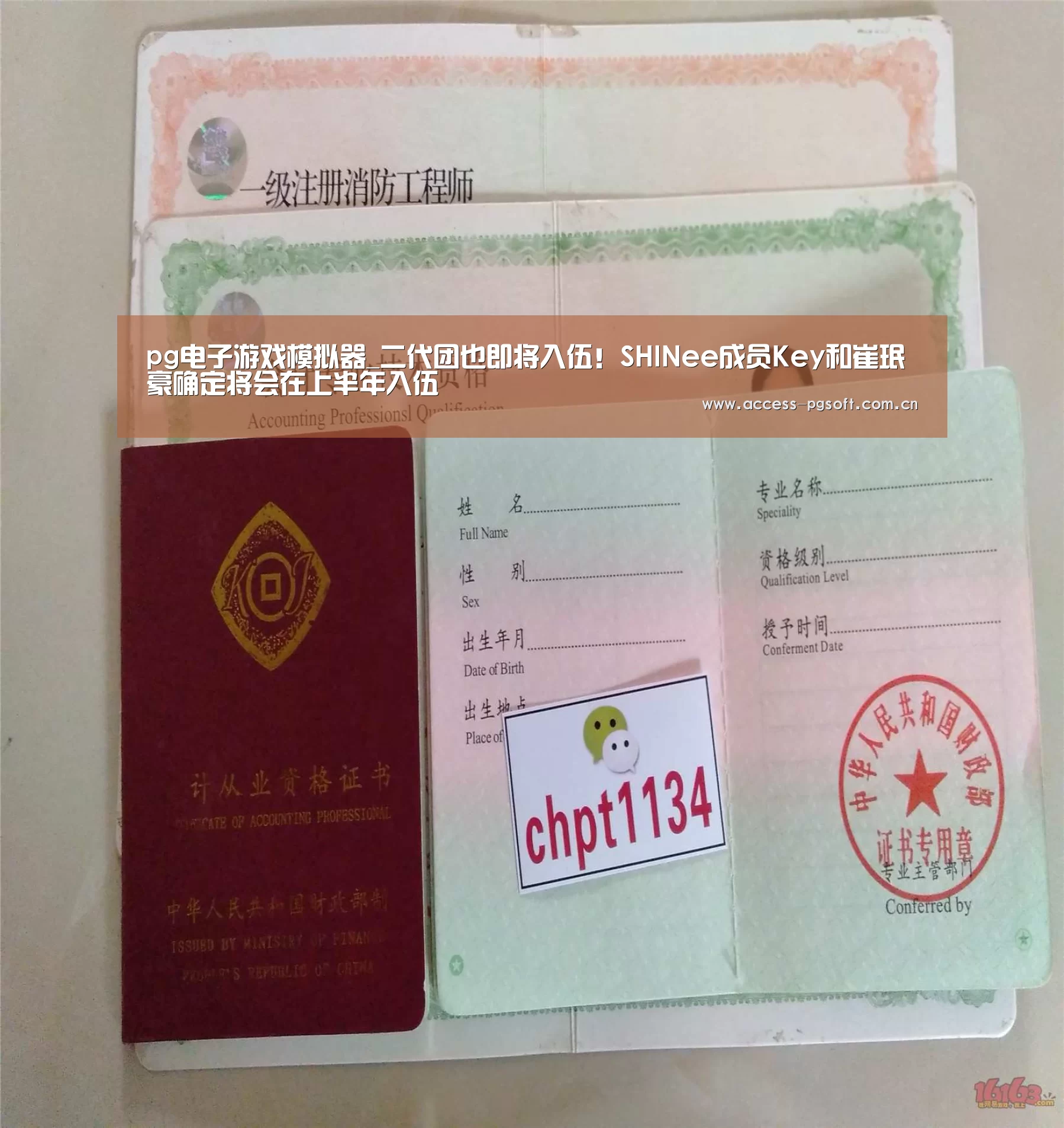 pg电子模拟器官网