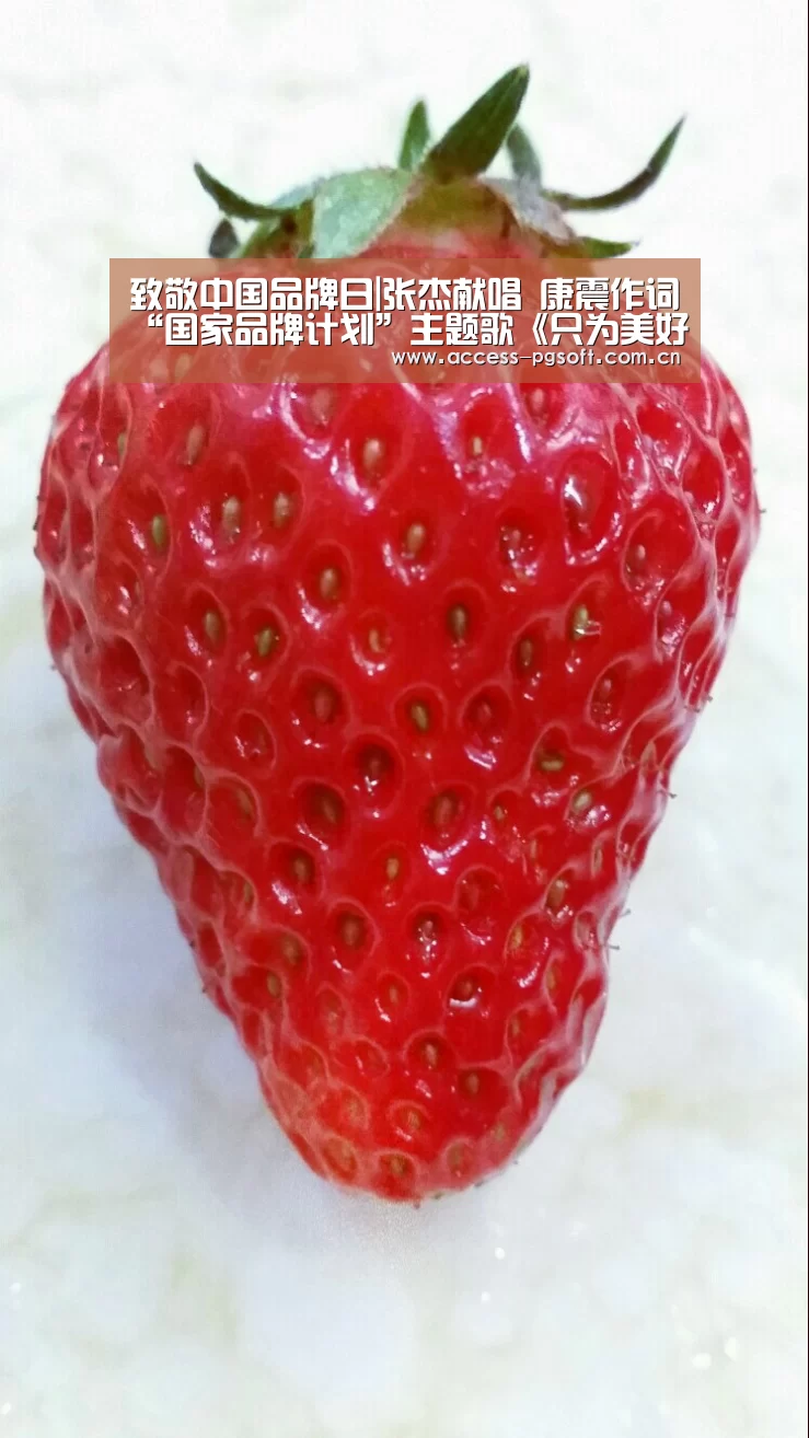 致敬中国品牌日|张杰献唱 康震作词“国家品牌计划”主题歌《只为美好》_pg电子模拟器(图1) pg电子模拟器官网