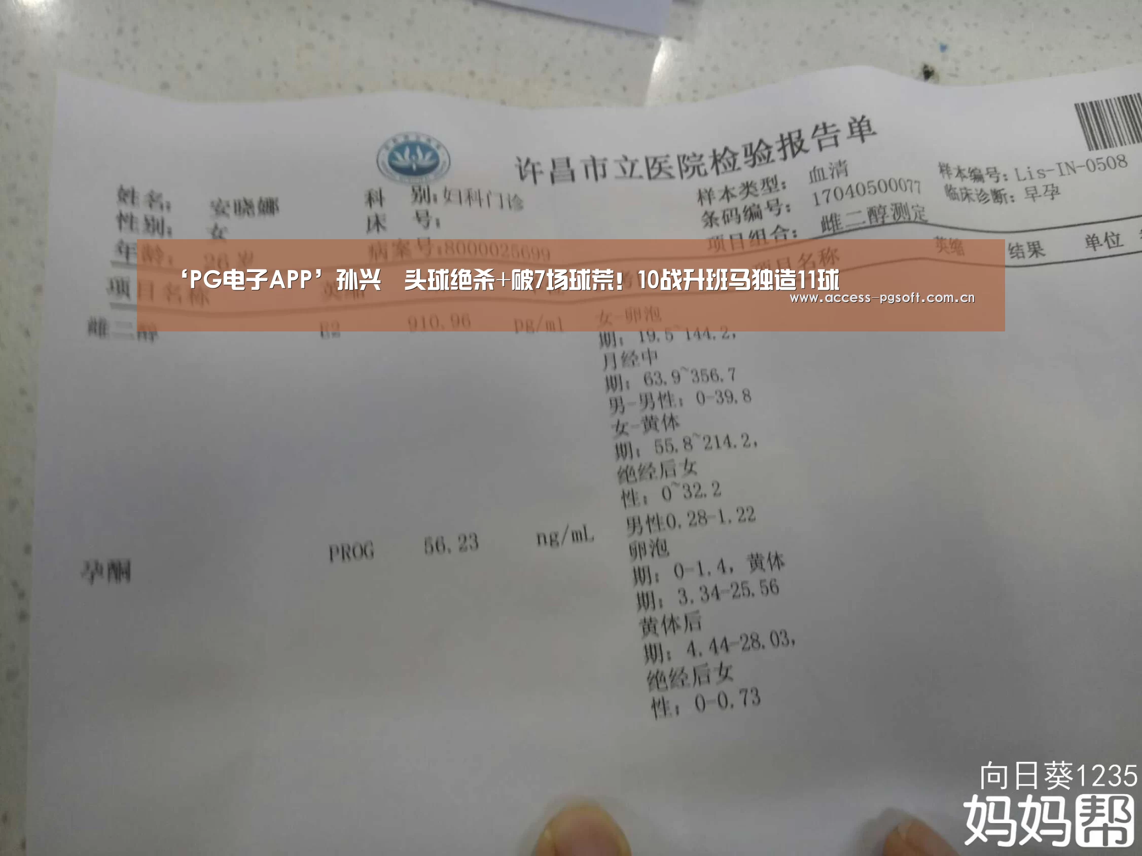 ‘PG电子APP’孙兴慜头球绝杀+破7场球荒!10战升班马独造11球(图1) PG电子APP
