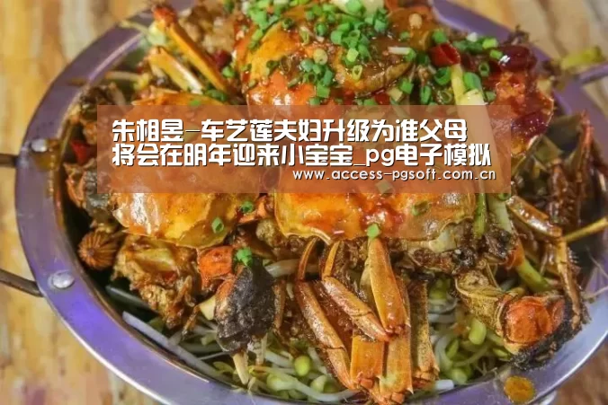 朱相昱-车艺莲夫妇升级为准父母 将会在明年迎来小宝宝_pg电子模拟器官网(图1) pg电子模拟器官网