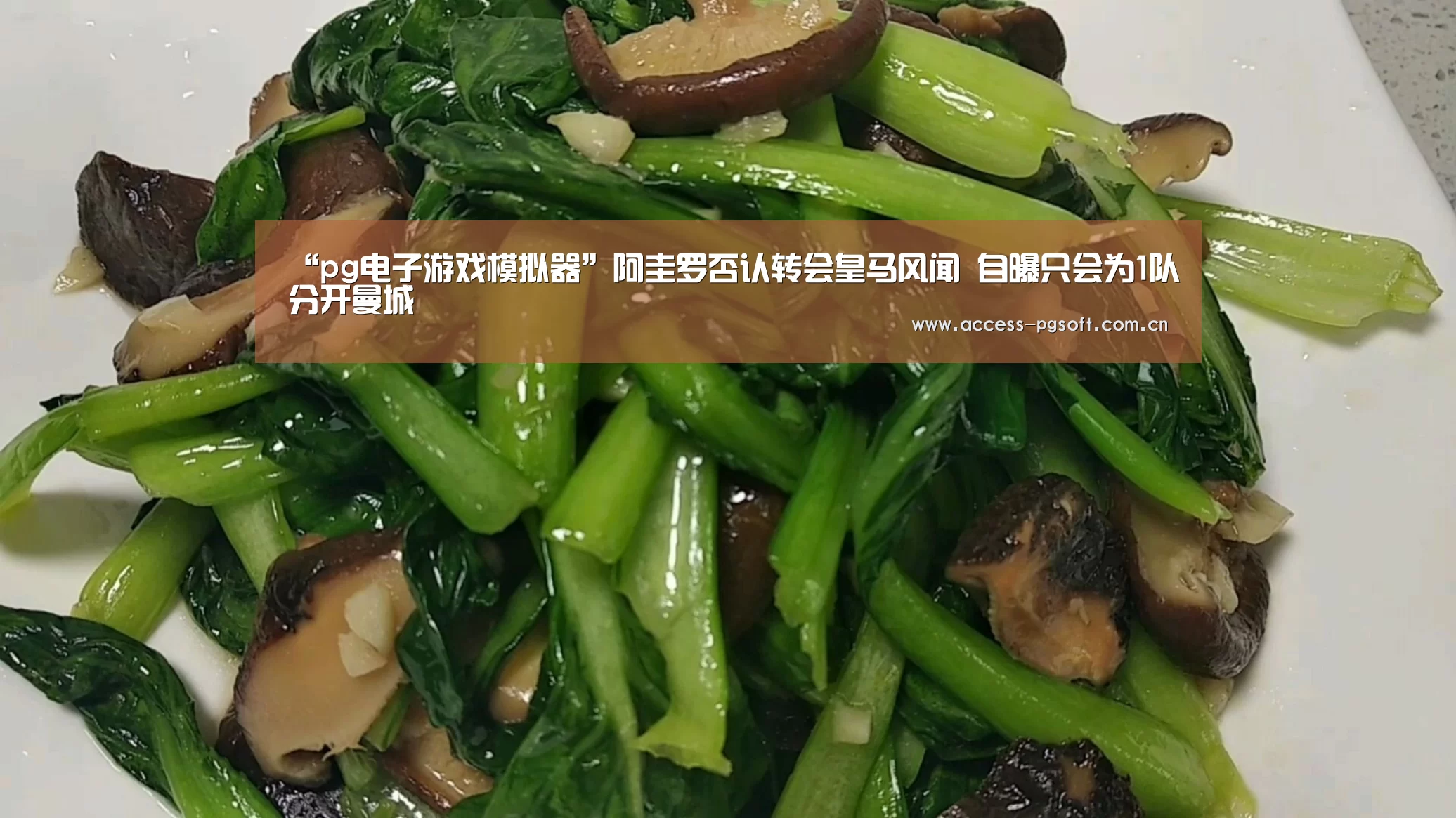 “pg电子游戏模拟器”阿圭罗否认转会皇马风闻 自曝只会为1队分开曼城(图3) pg电子游戏模拟器